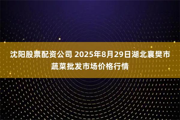 沈阳股票配资公司 2025年8月29日湖北襄樊市蔬菜批发市场价格行情